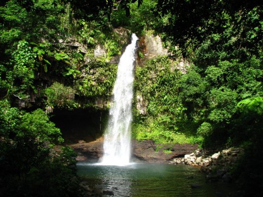 avoro-River-Waterfalls-Bouma-Park-Taveuni-Fiji-031.jpg