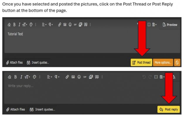 Post pics 400.JPG